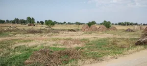 FWR6+JJ5, Gahankar, Rajasthan 301021, India preview 4