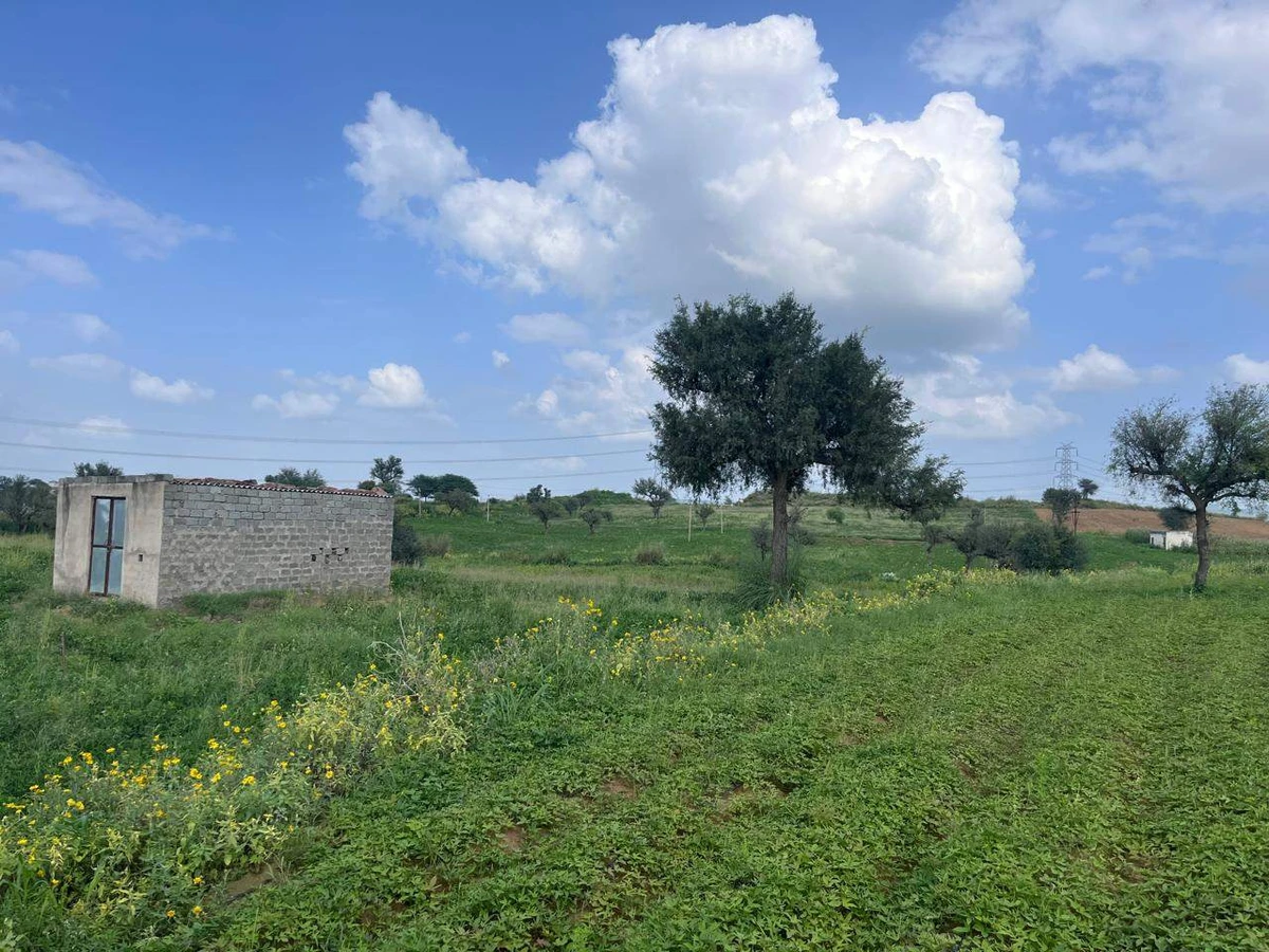 WMJC+W5C, Barau Rd, Rasoolpur, Rajasthan 333020, India