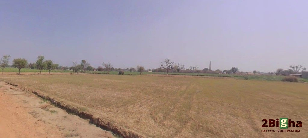 Diyatra, Rajasthan 334303, India