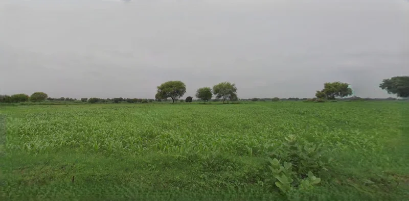 Panipat, Haryana, India preview 3