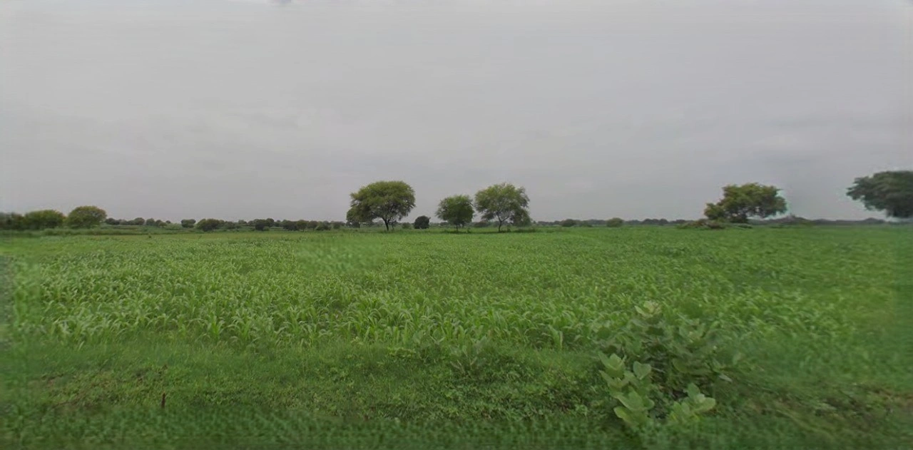 Panipat, Haryana, India