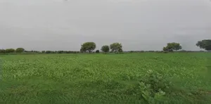 Panipat, Haryana, India preview 3