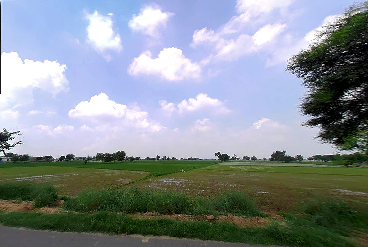 Barwala, Haryana 125121, India