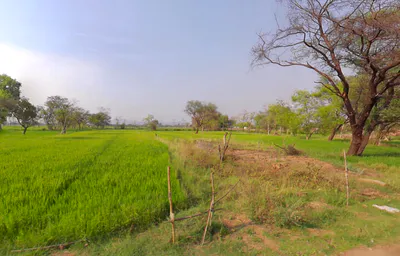 Bhothli, Chhattisgarh 493773, India preview 2