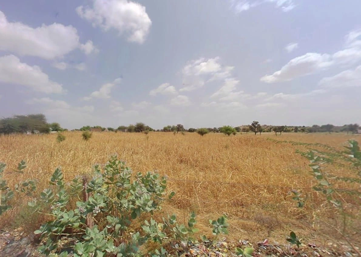 JP9P+MC6, Thawariya, Rajasthan 334802, India