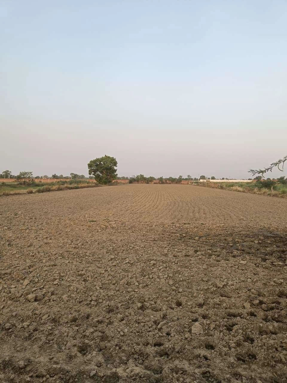 Chandauri, Uttar Pradesh, India