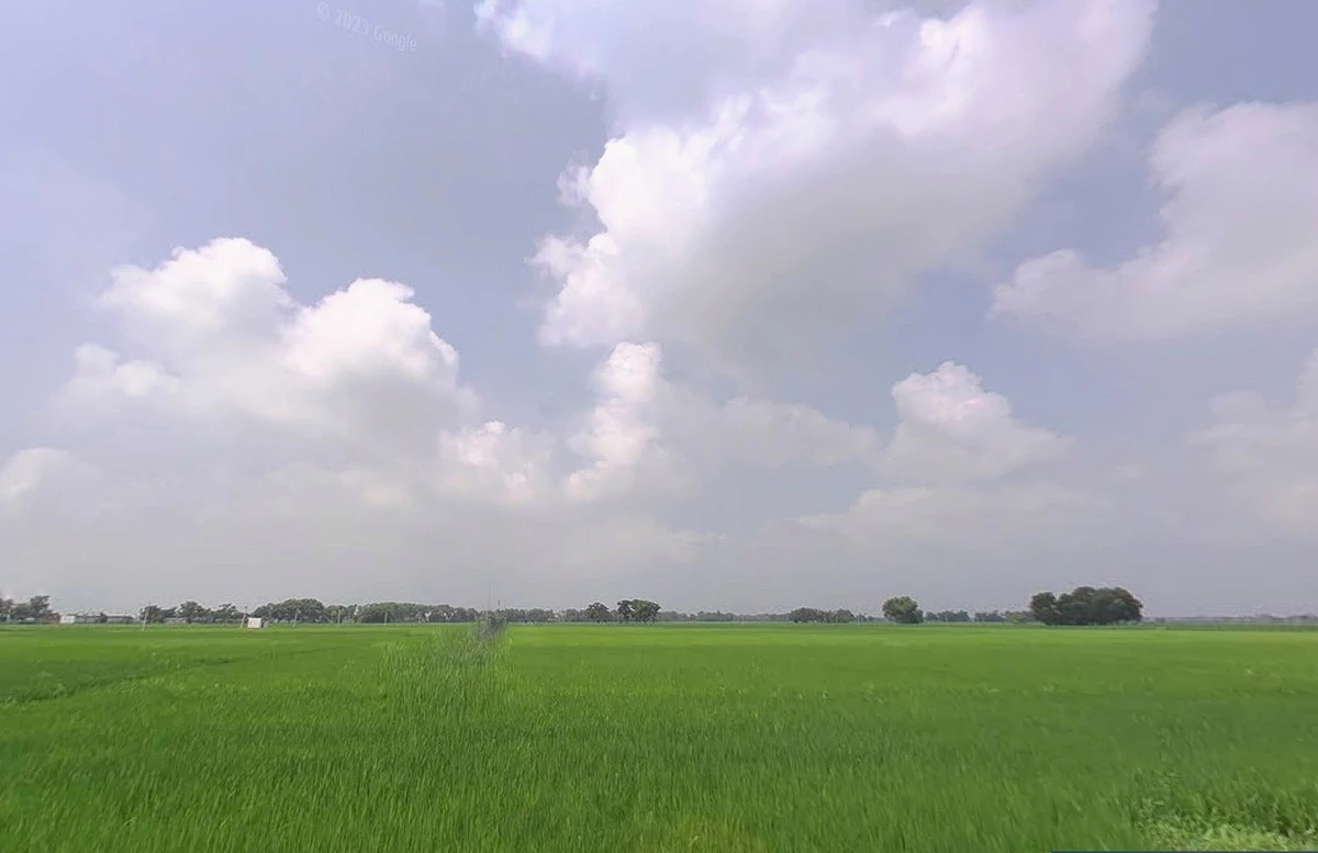 Bihta Chowk, Bihar 801103