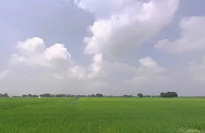 Bihta Chowk, Bihar 801103 preview 3