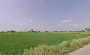 Bawal, Haryana, India preview 3