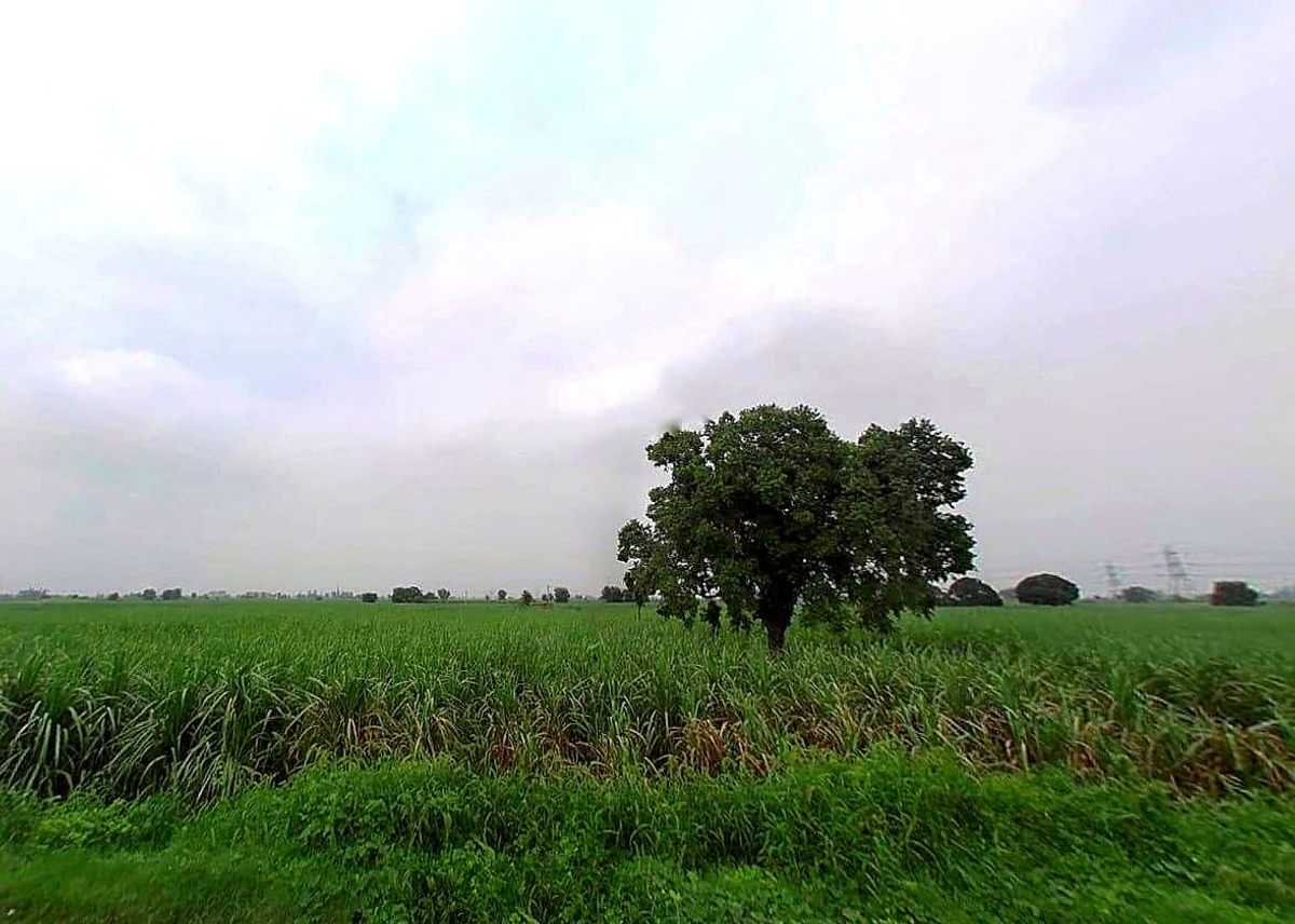 78CP+R7X, Durganpur, Uttar Pradesh 247771, India