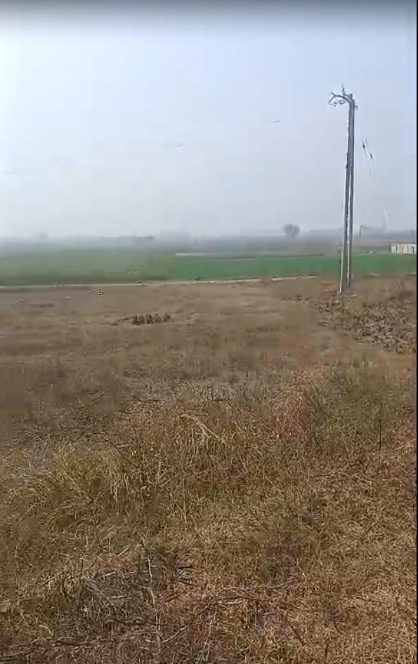 Madhapur Mozampur, Uttar Pradesh 245207, India