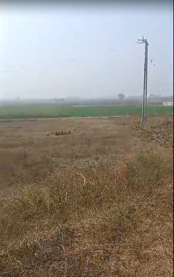 Madhapur Mozampur, Uttar Pradesh 245207, India