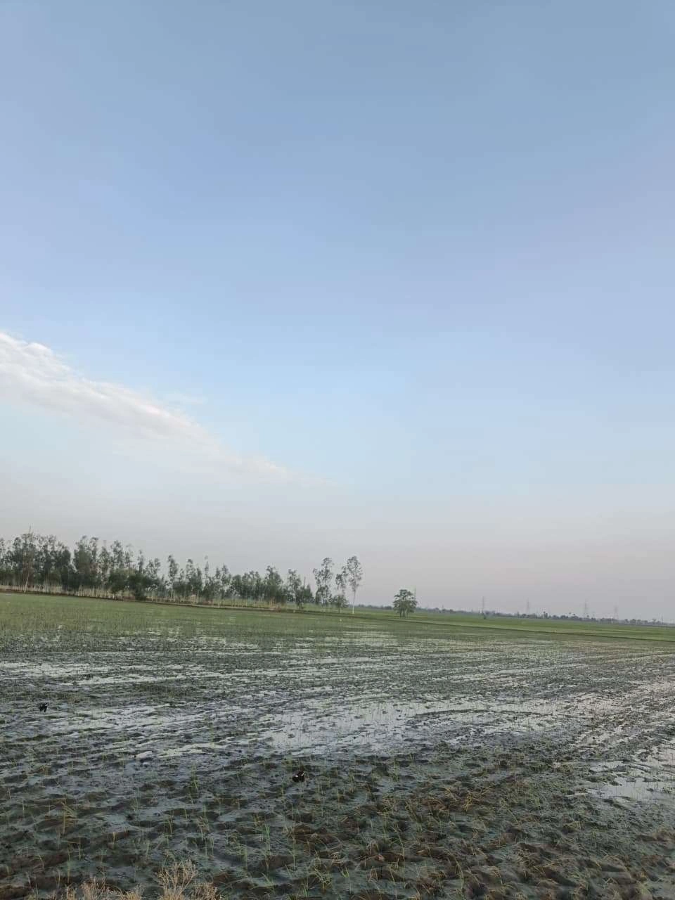 Sankhi, Uttar Pradesh 281401, India