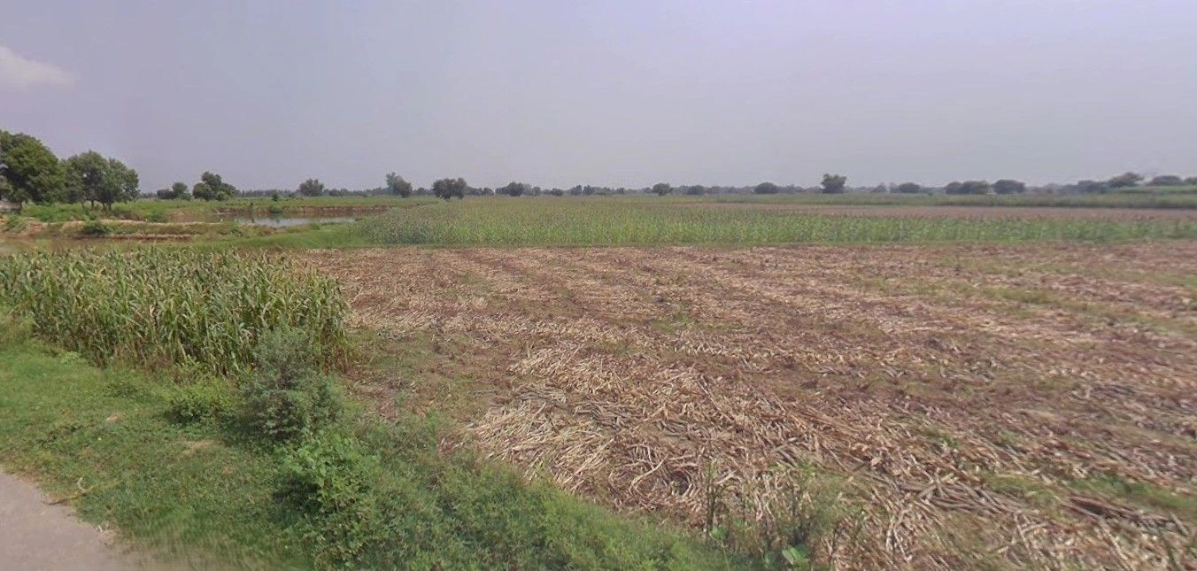 Ingoriya, Madhya Pradesh 456222, India