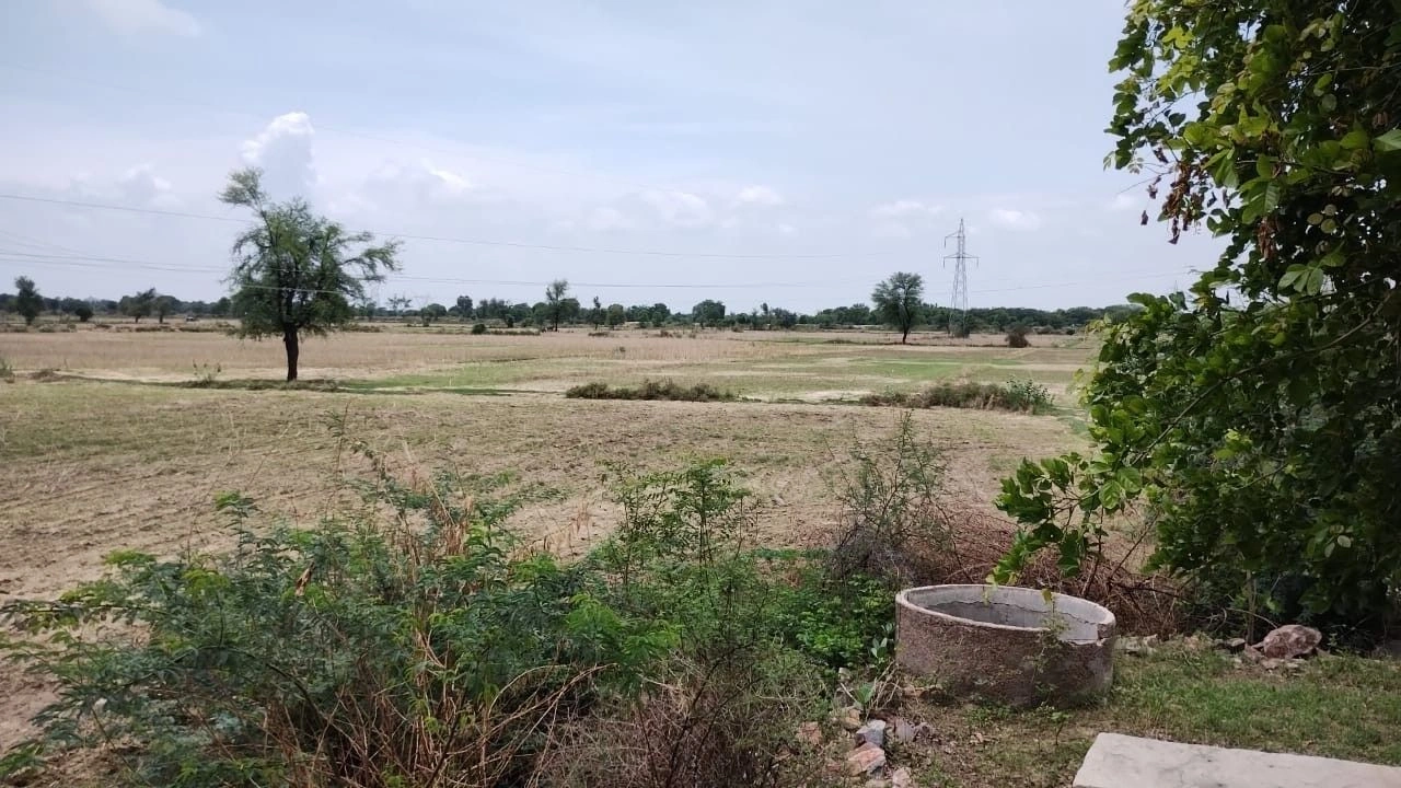 Sherpur, Rajasthan 301025, India