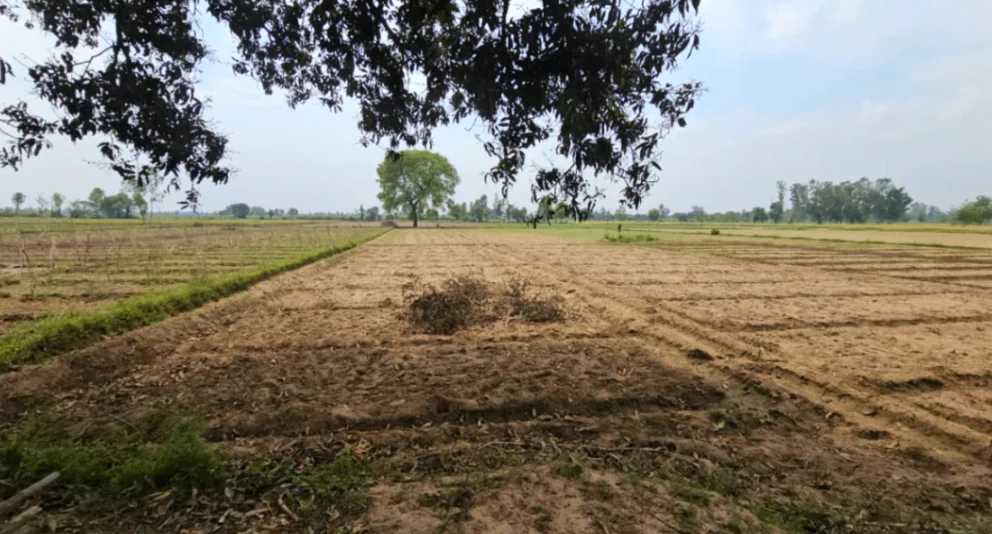 Unnamed Road,, 69XP+QW5, Baligerya, West Bengal 721301, India