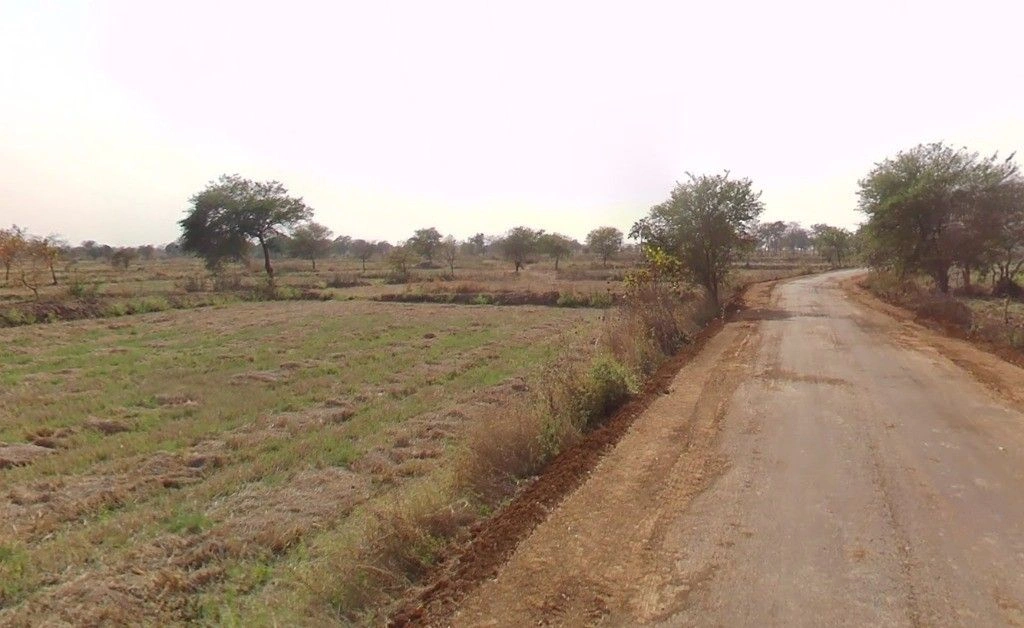 Chicholi, Chhattisgarh 493116, India