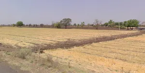 Narsinghpur, Madhya Pradesh 487001, India preview 3