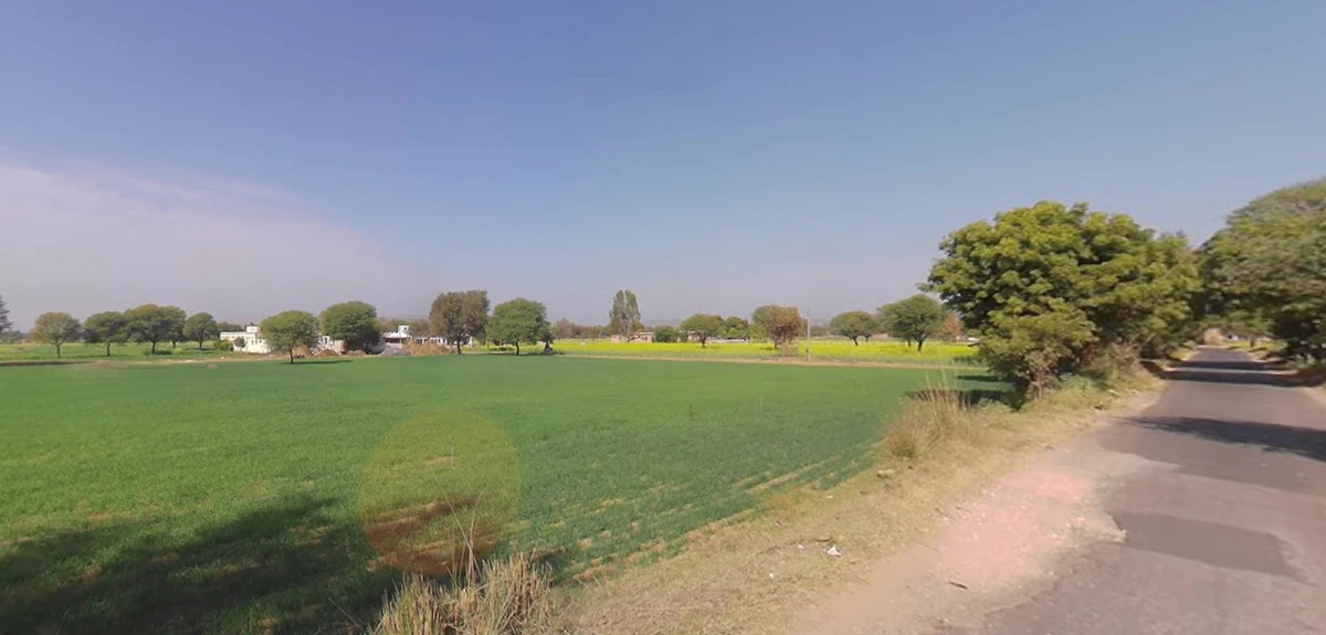 Moodiya, Rajasthan 321028, India