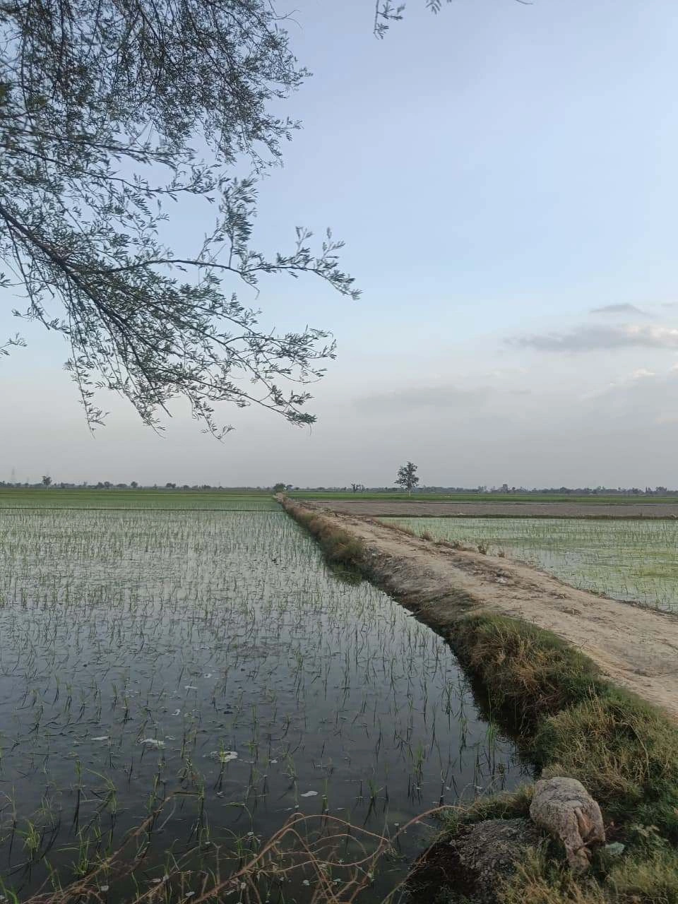 Sankhi, Uttar Pradesh 281401, India