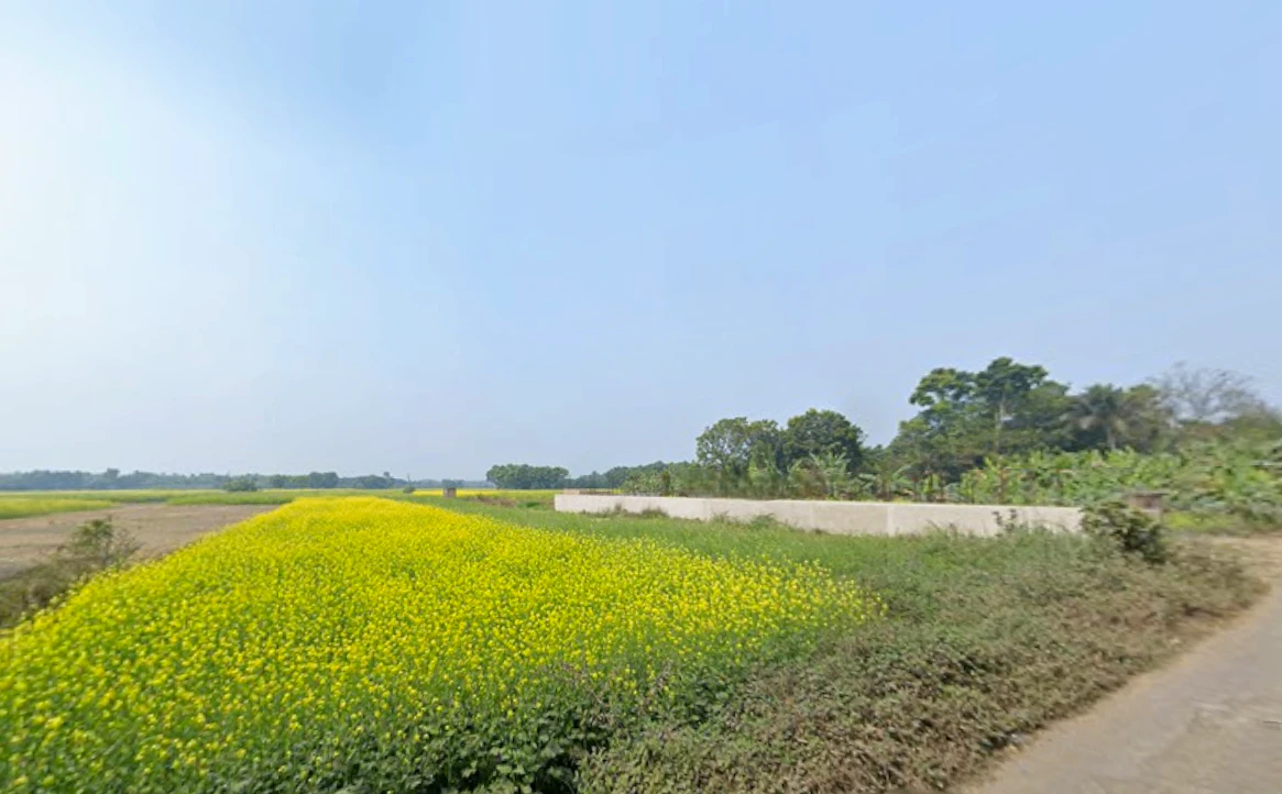 57, Canal Circular Rd, beside Ajanta Footwear Factory, Kadapara, Phoolbagan, Kankurgachi, Kolkata, West Bengal 700054, India