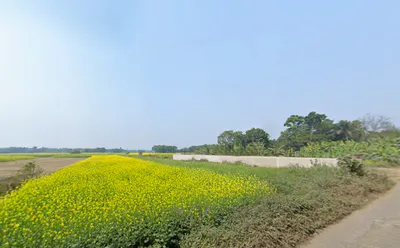 57, Canal Circular Rd, beside Ajanta Footwear Factory, Kadapara, Phoolbagan, Kankurgachi, Kolkata, West Bengal 700054, India preview 2