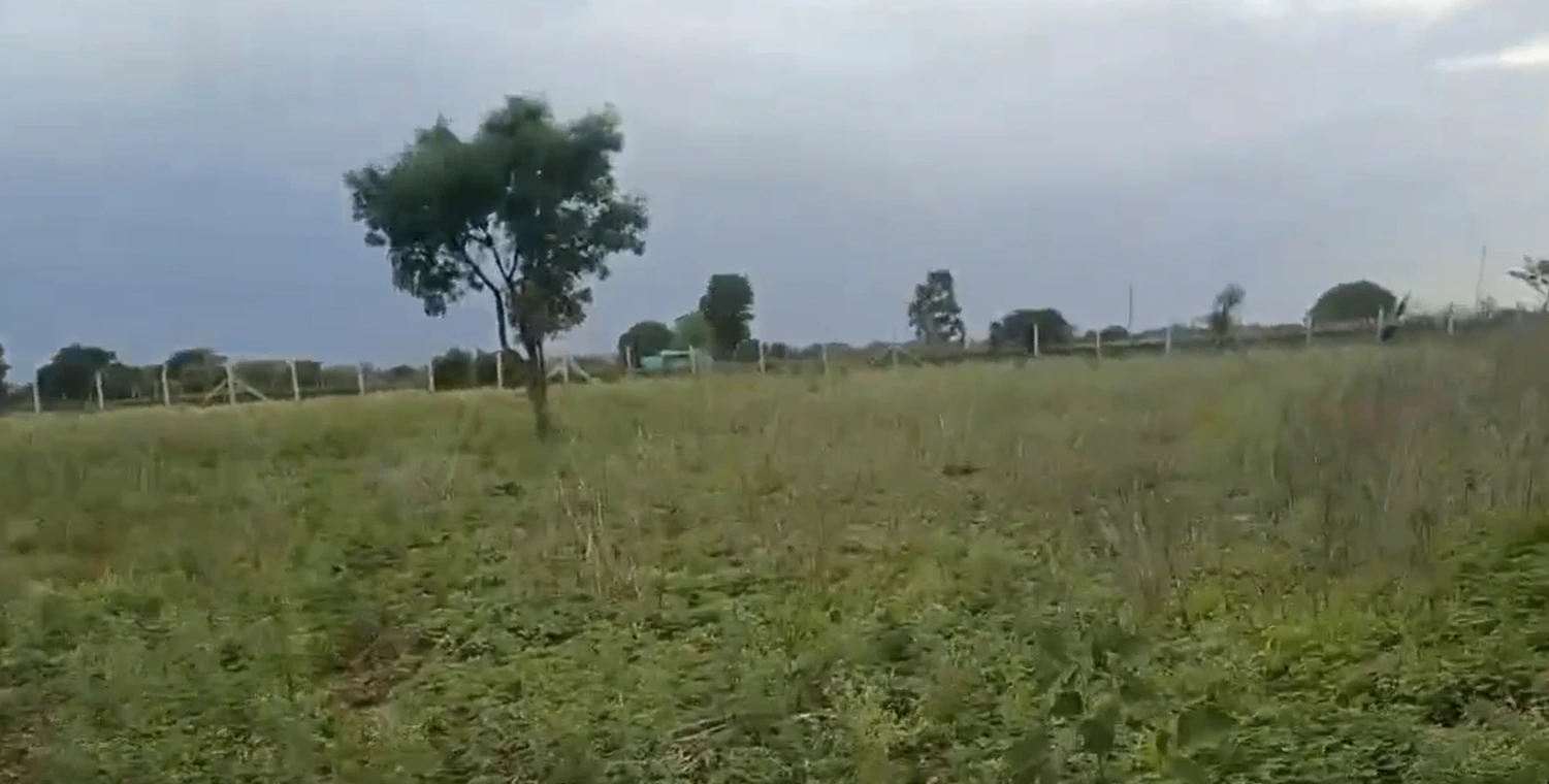 F232+MR5, Vikarabad, Madireddipalle, Telangana 501111, India - Photo 3
