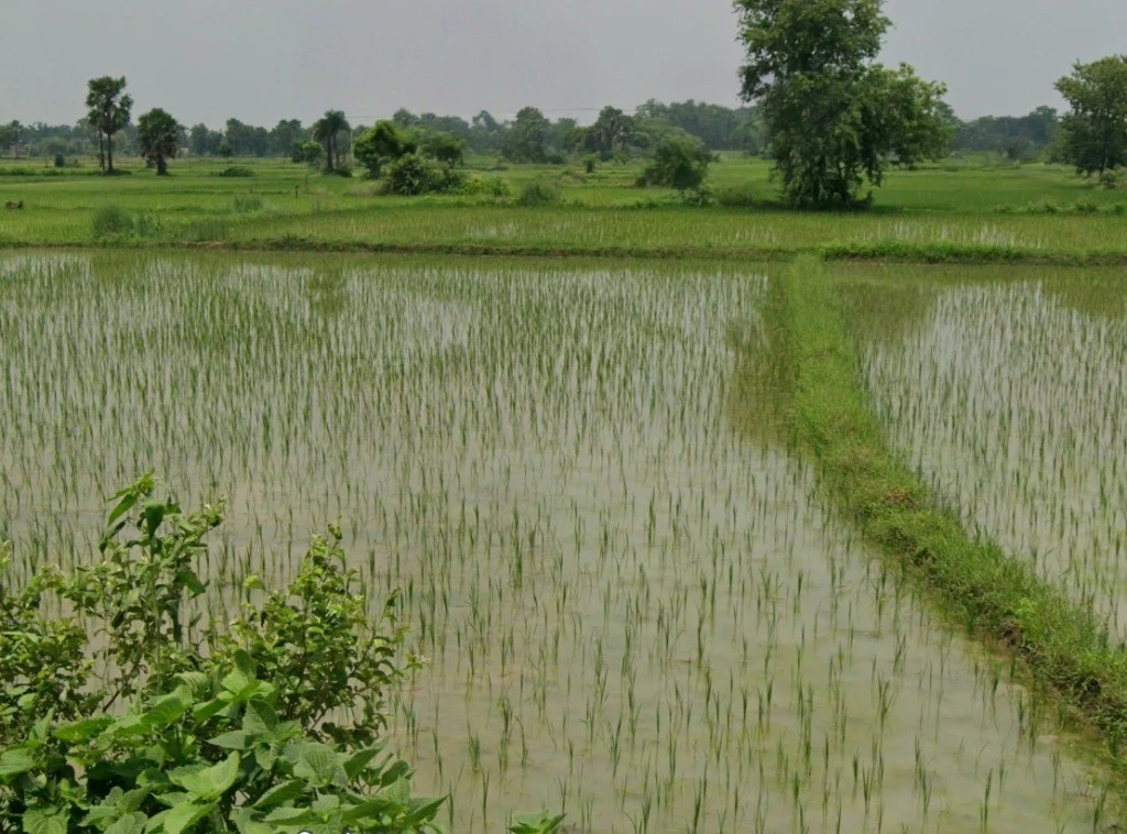 Nawagarh, Chhattisgarh 491337, India