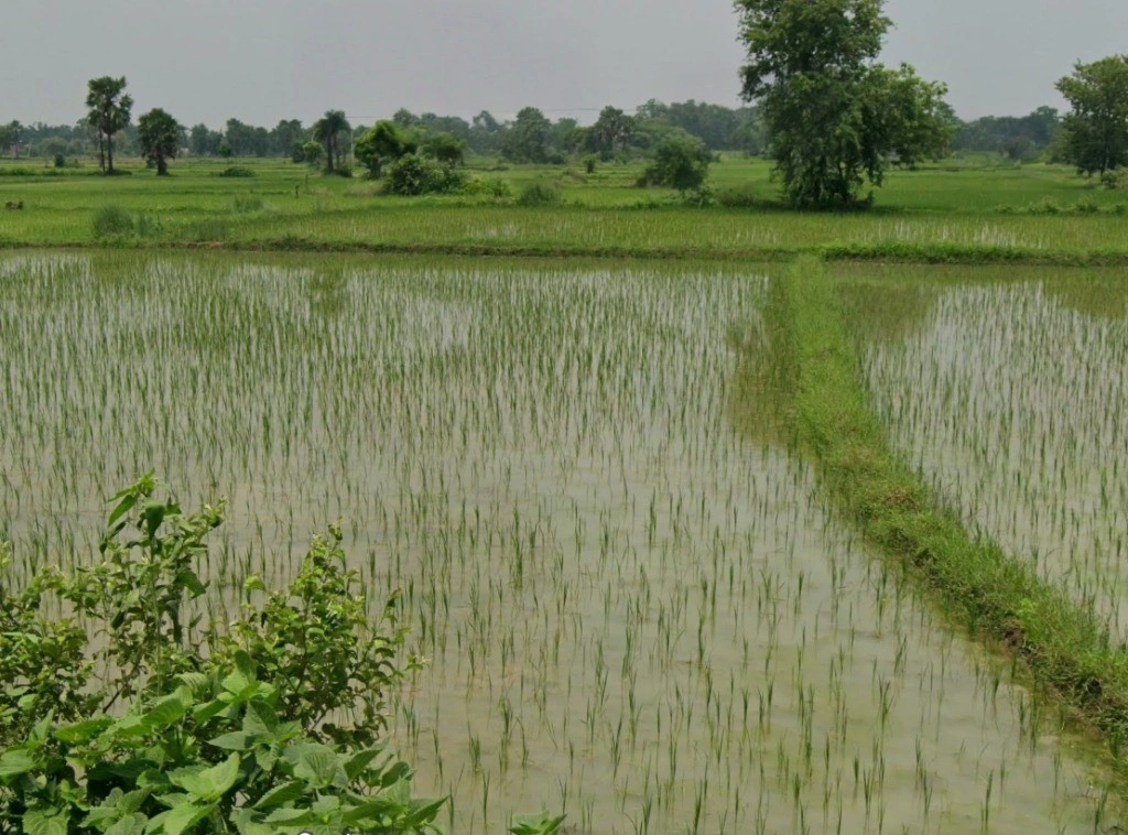 Nawagarh, Chhattisgarh 491337, India