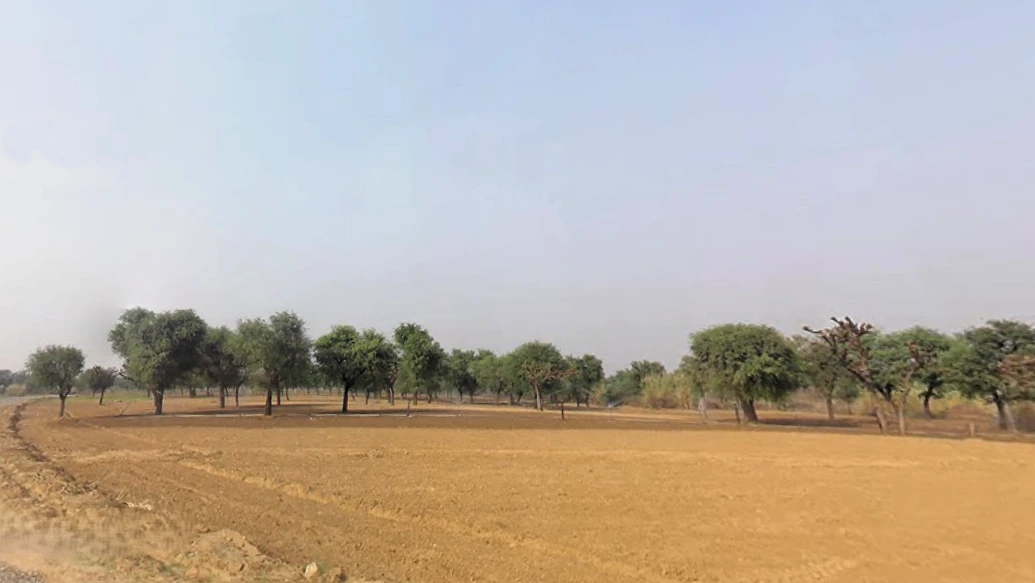 Rata Kalan, Haryana 123021, India