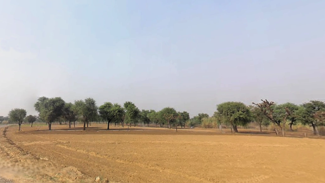 Rata Kalan, Haryana 123021, India