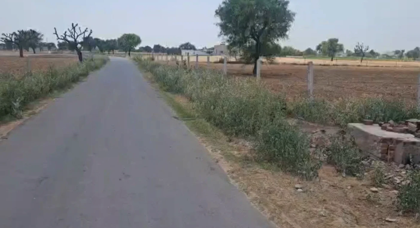 Surajgarh, Jhunjhunu, Rajasthan 333029, India
