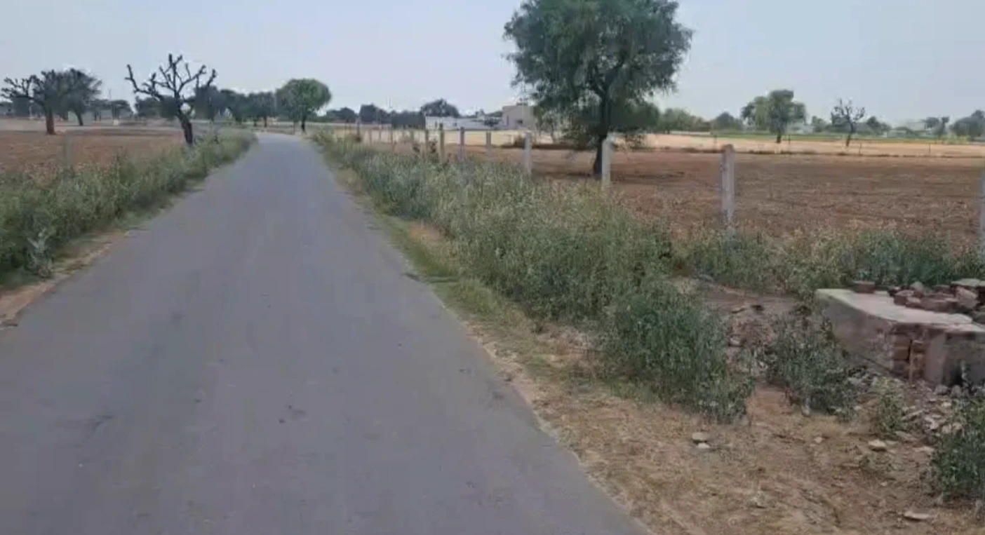 Surajgarh, Jhunjhunu, Rajasthan 333029, India