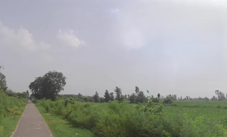 Pooth, Uttar Pradesh 245208, India
