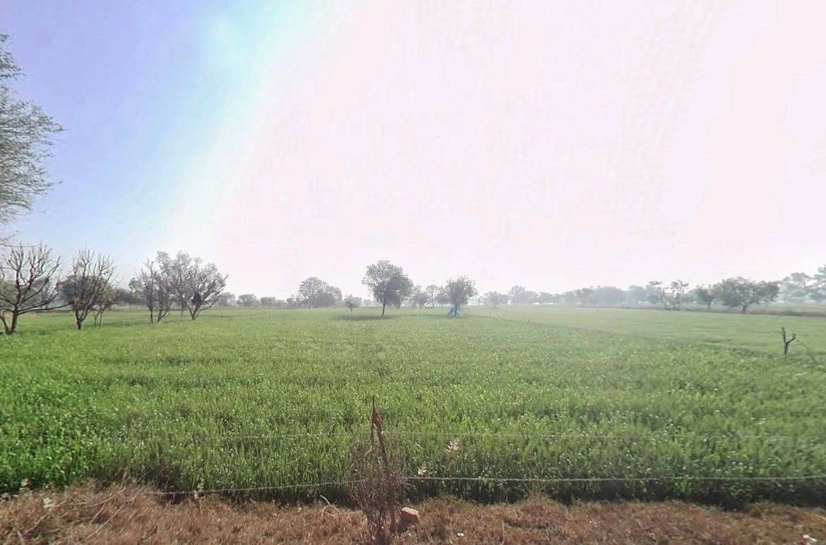 7Q48+7J, Pinan, Rajasthan 301413, India