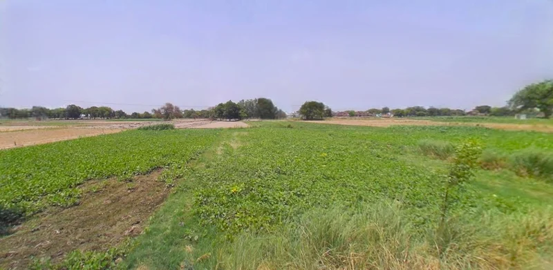 Barnagar, Madhya Pradesh 456771, India preview 3