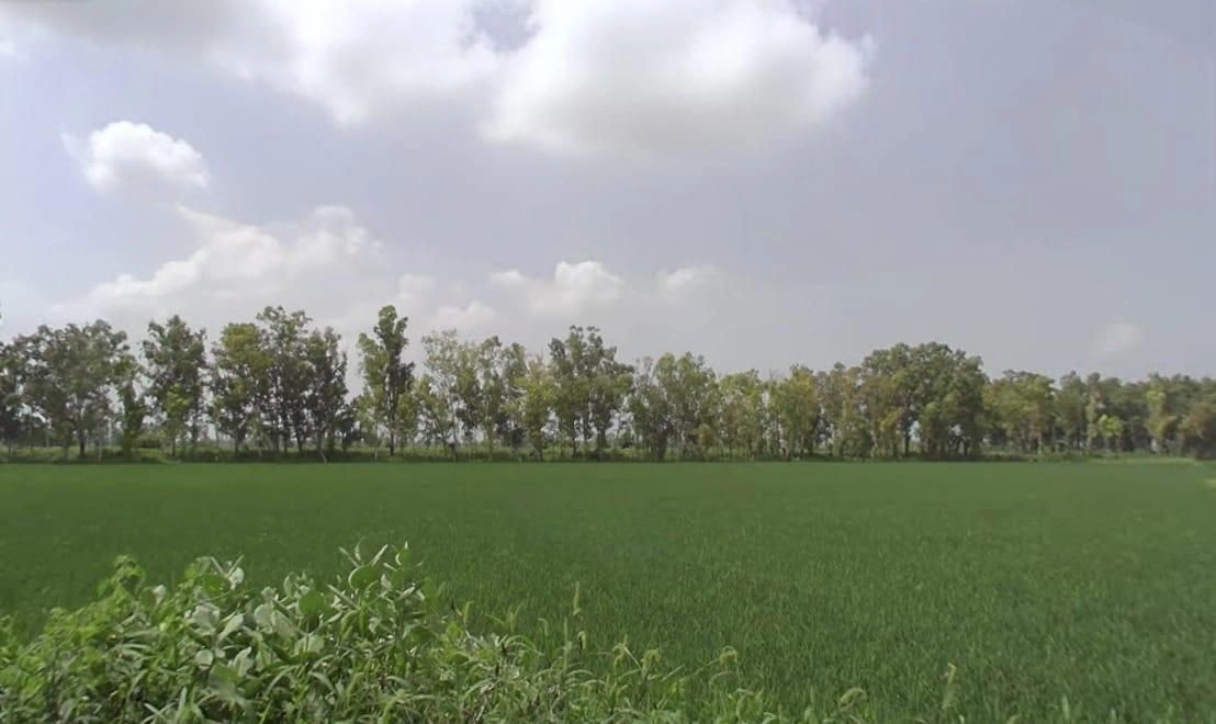 Khategaon, Madhya Pradesh 455336, India