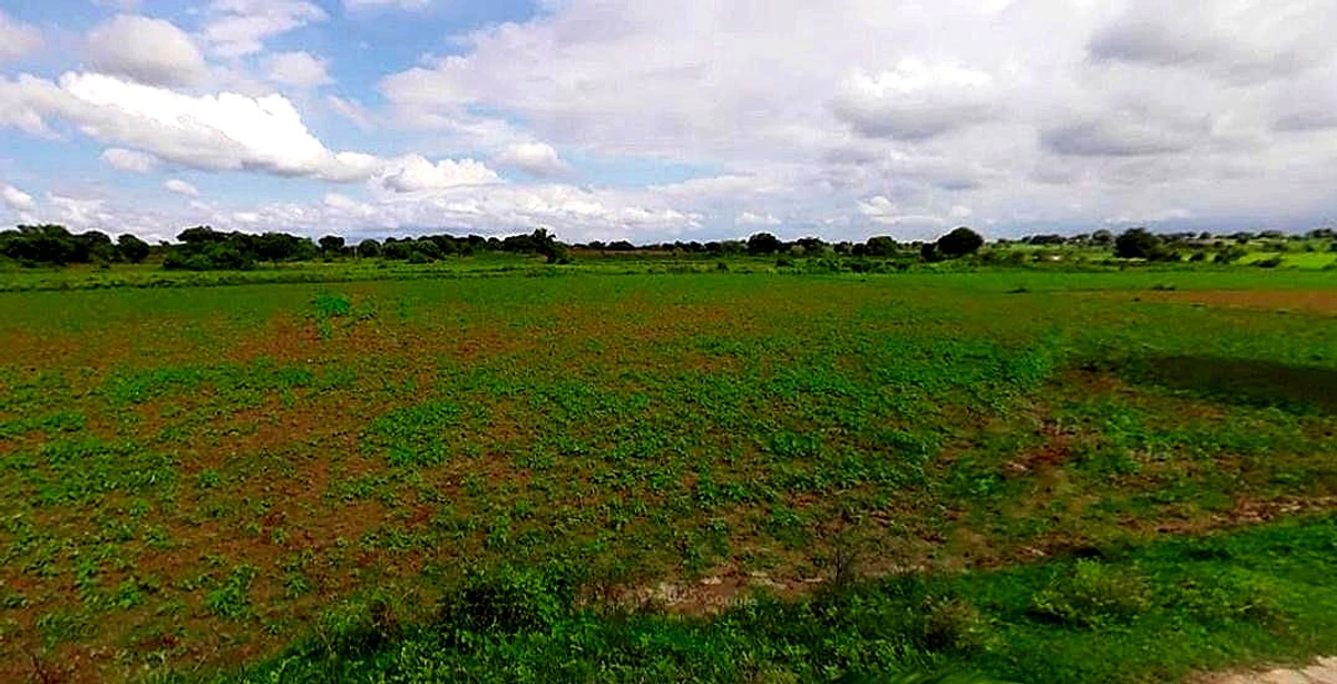 Mathura, Uttar Pradesh, India