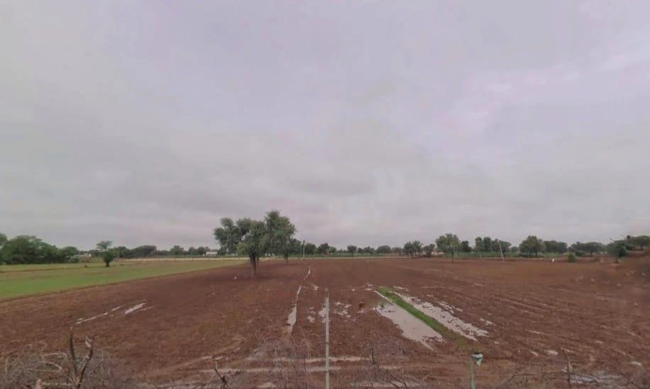 Pilani, Rajasthan 333031, India