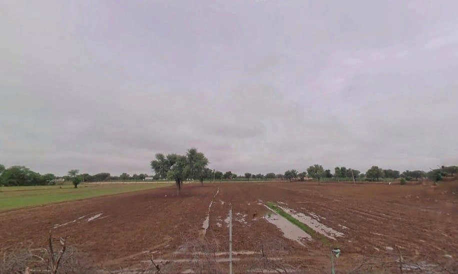 Pilani, Rajasthan 333031, India