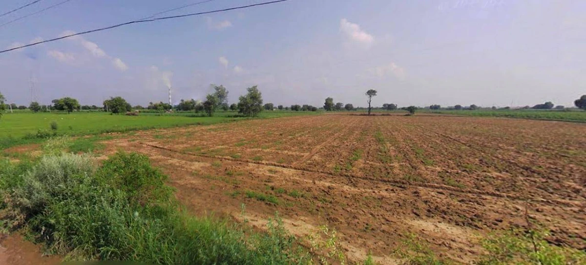 Barwala, Haryana 125121, India