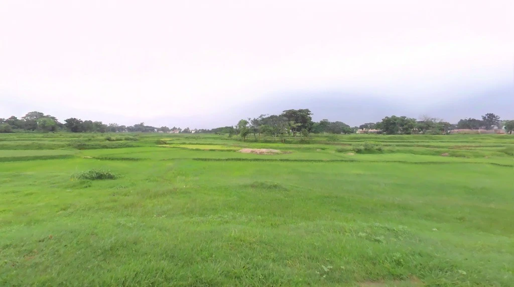 Samari, Chhattisgarh 497224, India