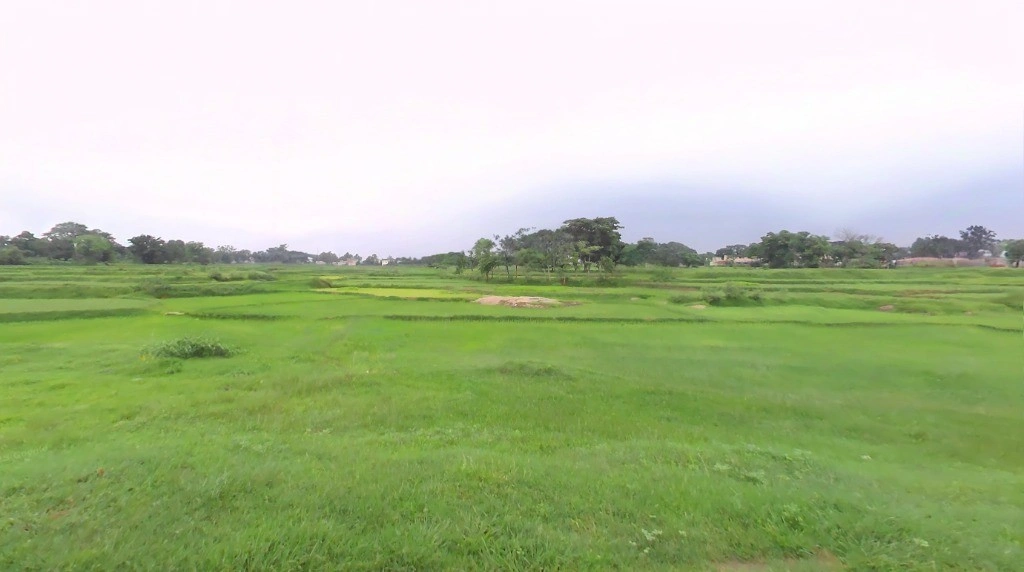 Samari, Chhattisgarh 497224, India