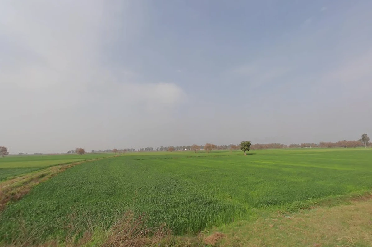 Jhajjar, Haryana 124103, India