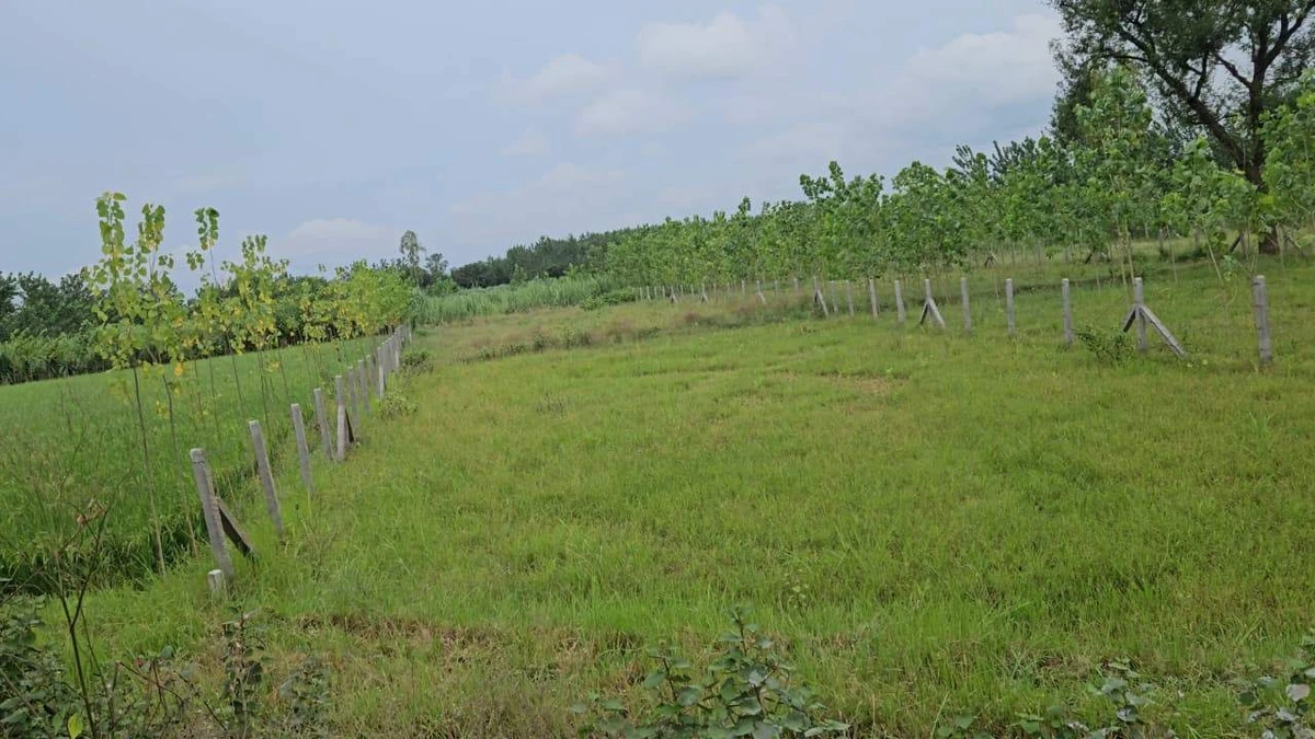 Delhi – Dehradun Expy, India