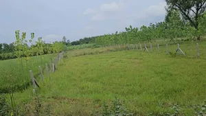 Delhi – Dehradun Expy, India preview 2