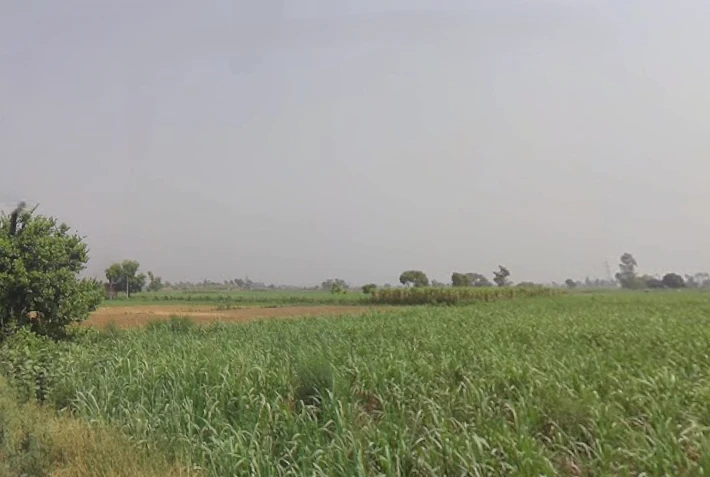 Garh Mukteshwar, Uttar Pradesh 245205, India