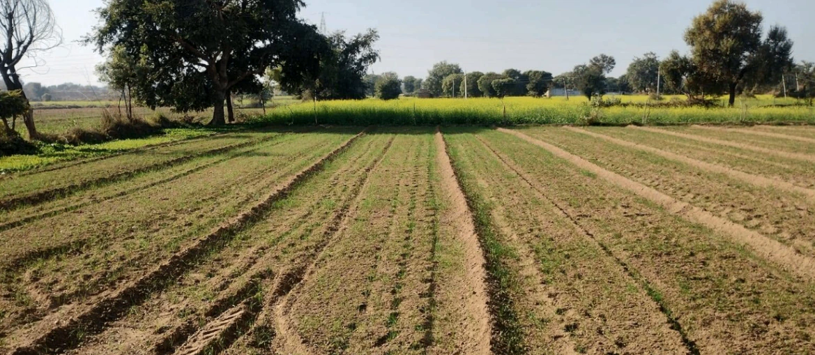 Dibai, Uttar Pradesh 203393, India