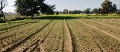 Dibai, Uttar Pradesh 203393, India preview 2