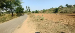 Kerwawal, Rajasthan, India preview 3